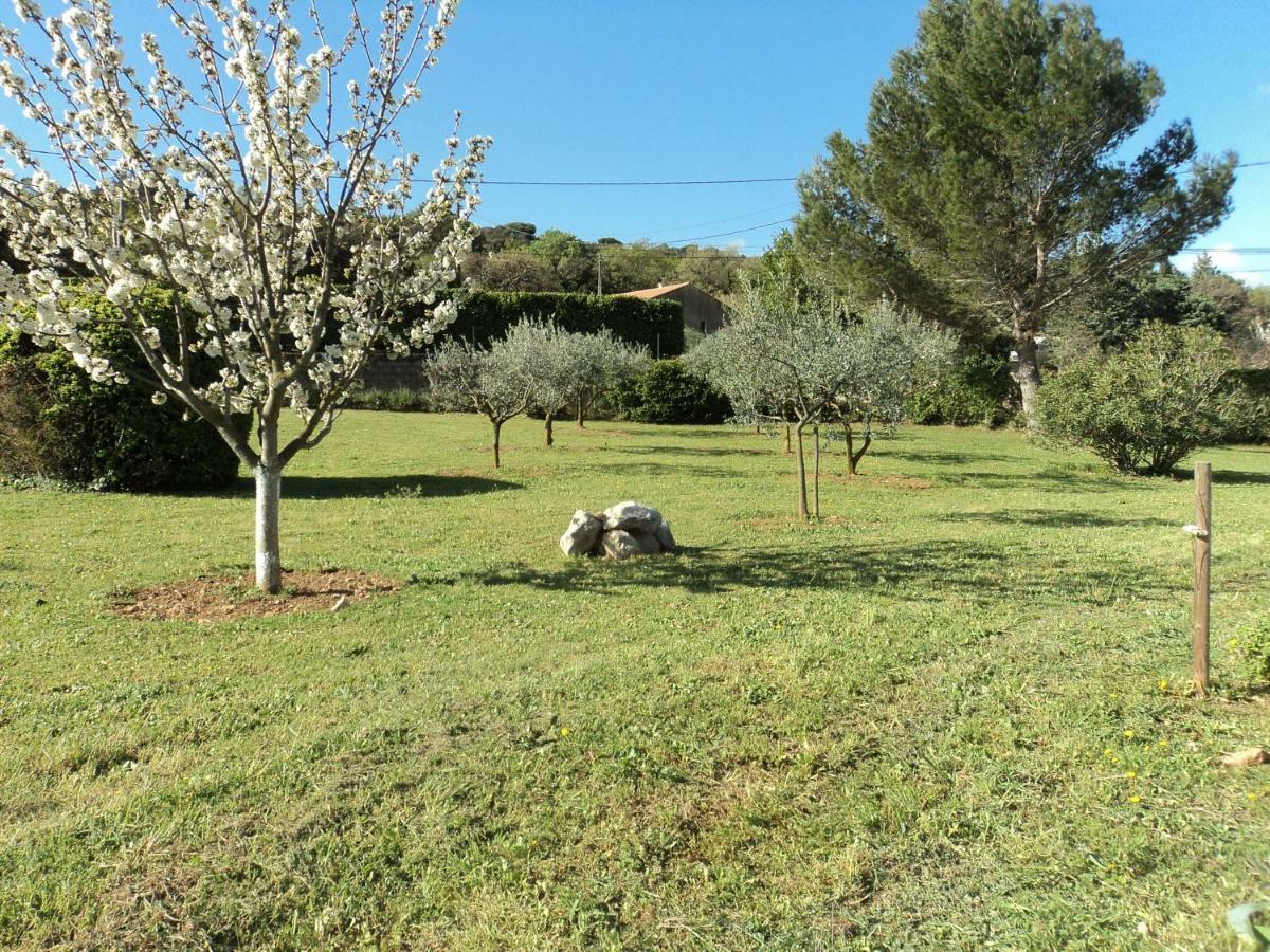 Gite touristique Piolenc Extérieur photo